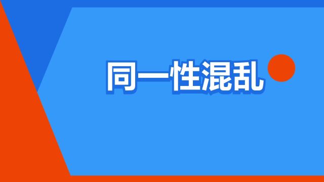 “同一性混乱”是什么意思?