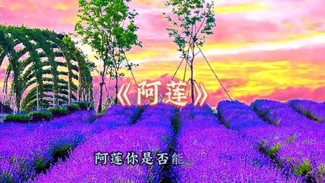 《阿莲》是一首蕴含民族风韵的抒情歌曲,歌词表达了对初恋的回忆和对恋人的思念,而该曲也一度成为了20世纪90年代情歌的代名词