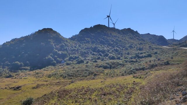 山河大师分析二十四个狗头山,公狗撵母狗,翰林手牵手