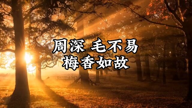 周深毛不易《梅香如故》,太好听了,两人的声音缺一不可