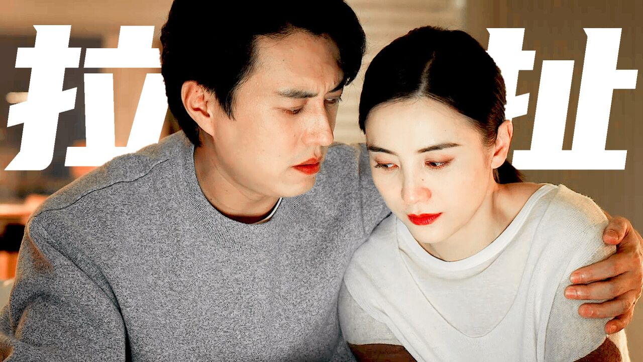 靳东宋佳《纵有疾风起》