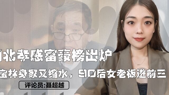 湖北孝感富豪榜出炉,刘宝林身家又缩水,90后女老板进前三