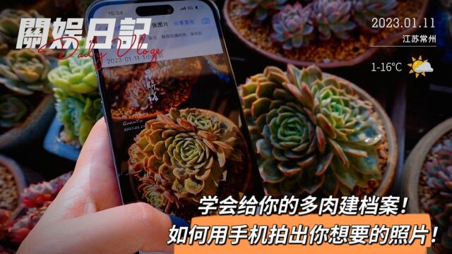 纯干货!养成给多肉建档案的习惯!如何用手机拍出你想要的照片!