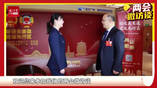 两会微访谈丨倪红卫:推进中试平台共享,发挥湖北高校优势