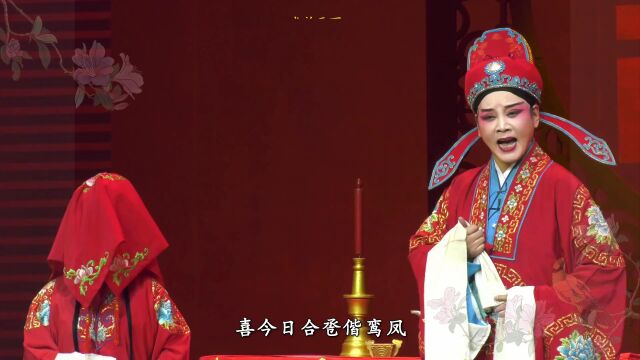 豫剧《秦雪梅》选段 国家一级演员赵京 张博