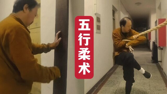 我找到了功夫传人,为你揭秘:南少林五行柔术