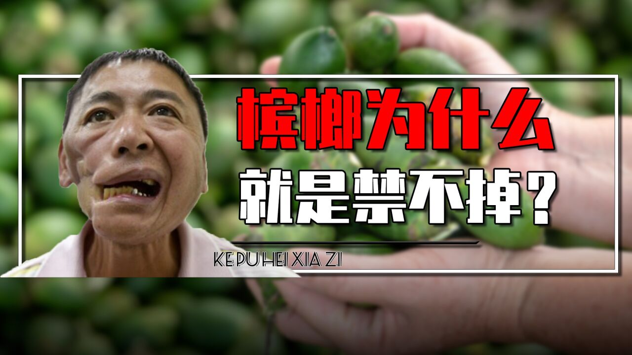 槟榔为什么禁止不掉?我国6000万人爱嚼槟榔,槟榔到底有啥秘密?