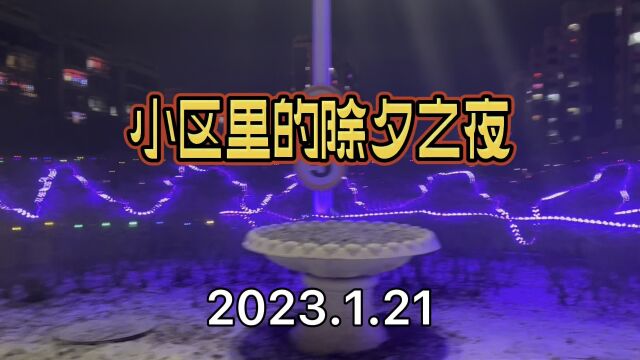 火树银花除夕夜——小区的除夕之夜