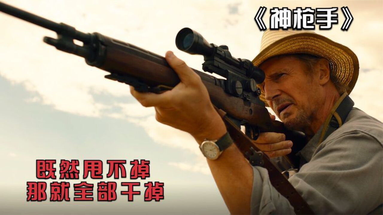 《神枪手》:既然甩不掉,那就全部解决掉!连姆尼森经典动作电影