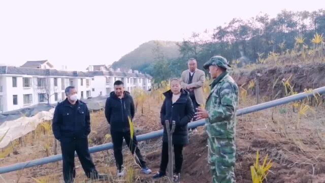 新春走基层:隆阳区水寨乡领导走访慰问老兵家庭农场