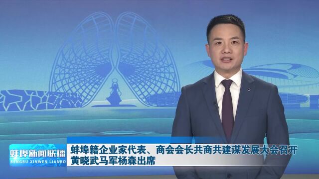 蚌埠籍企业家代表、商会会长共商共建谋发展大会召开 黄晓武马军杨森出席