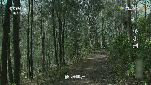 第二遍看杨善洲