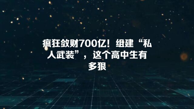 狂揽700亿资金后疯狂挥霍,丁宁,到底有多狠?