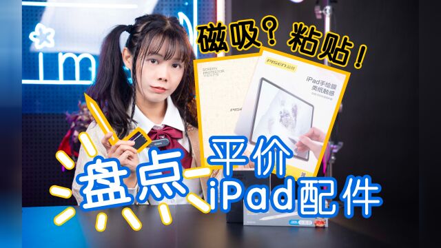 均价100!盘点一下京东购入的平价ipad配件!