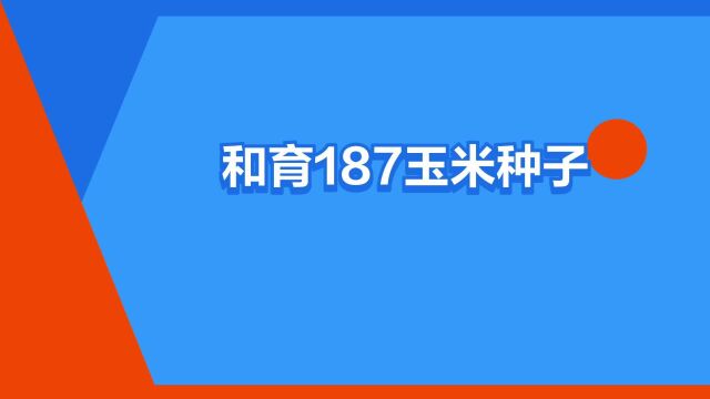 “和育187玉米种子”是什么意思?