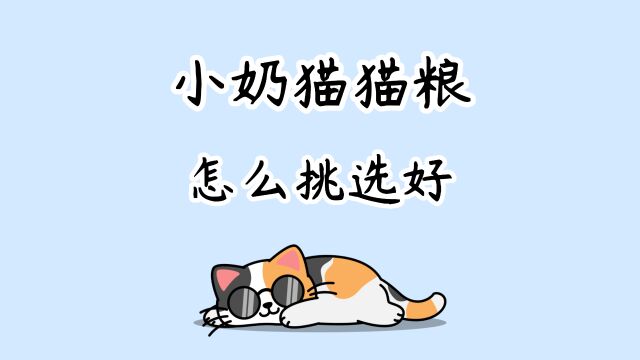 小奶猫猫粮怎么挑选好?优质猫粮推荐!