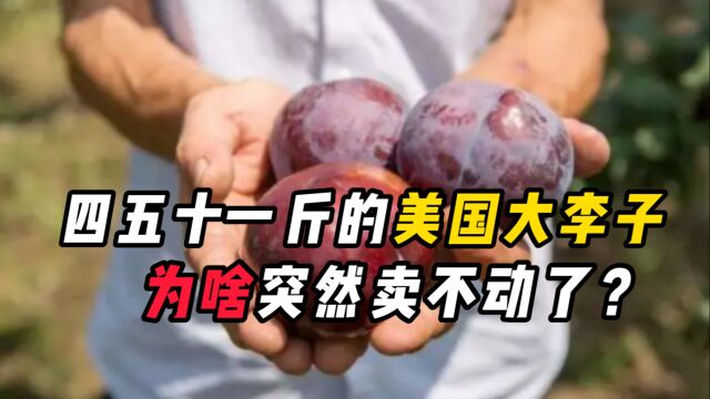 网红“黑布林”曾卖50一斤,如今5毛钱没人收?它是如何失宠的?