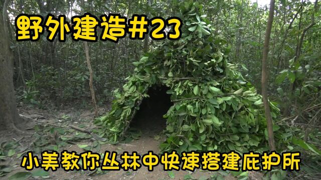 野外建造:快速搭建庇护所,小美野外生存日记