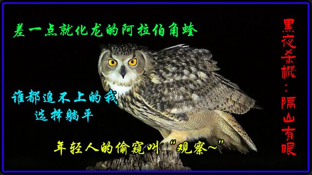 《黑夜杀机:隔山有眼》这是世界第二大沙漠;白天的温度高达130度;这里的夜晚危机四伏