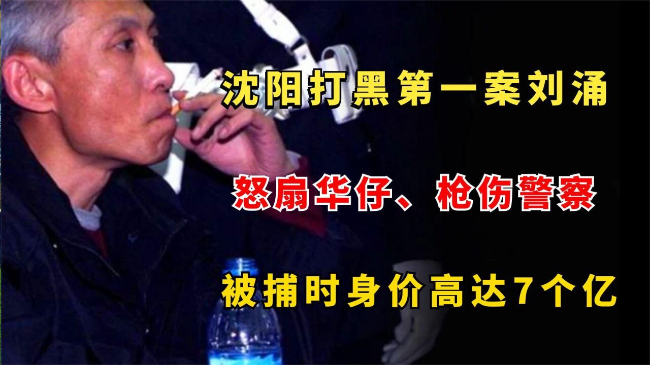 沈阳打黑第一案刘涌，怒扇刘德华、枪伤警察，身价高达7个亿_腾讯视频
