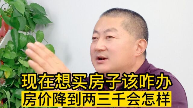 现在想买房子该咋办?如果房价降到两三千一平会出现什么情况呢?