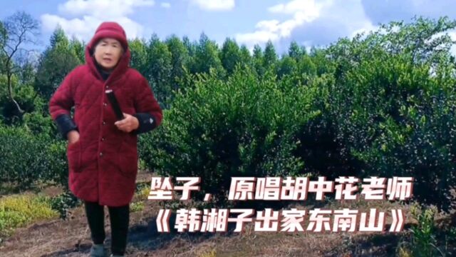 坠子,原唱胡中花老师《韩湘子出家东南山》精彩演绎,弘扬文化,老年戏曲传播者!