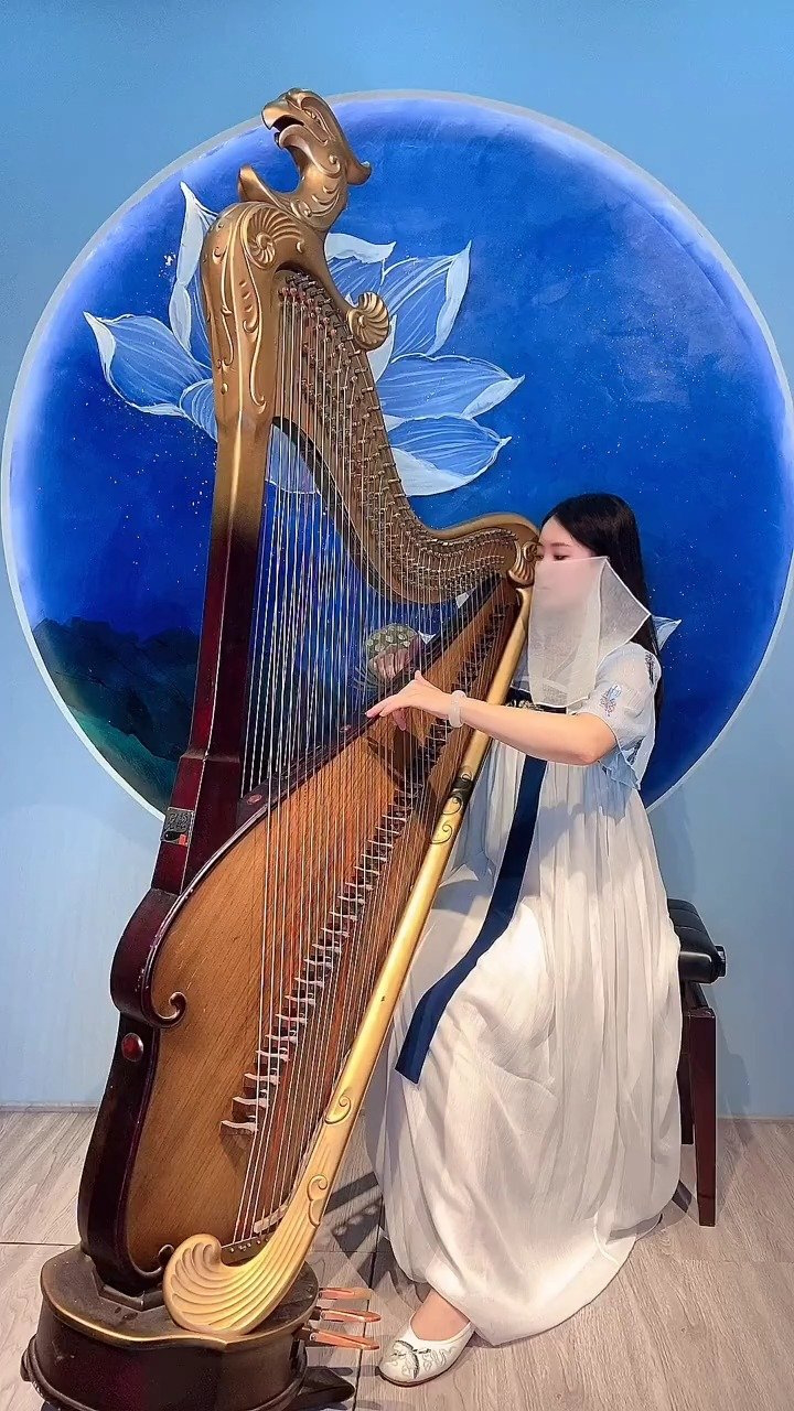 你能看出箜篌和竖琴的区别吗?