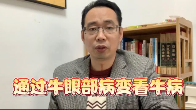 牛眼部病变诊断牛病技巧,养殖户赶紧收藏吧