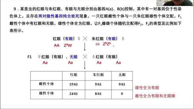 伴性遗传(1010)补刀讲一个难题