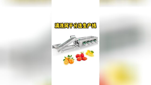 带大家了解一下水果清洗分选榨汁的生产线.可用于芒果柠檬橙子等