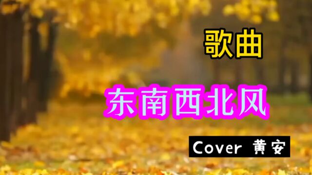 歌曲 东南西北风 cover黄安