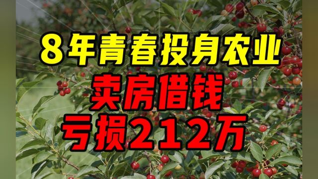 放弃铁饭碗搞农业,一无所有【沈帅波】