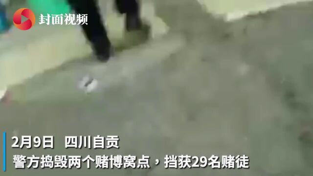 四川自贡自流井警方查获两个赌博窝点,挡获涉赌人员29人