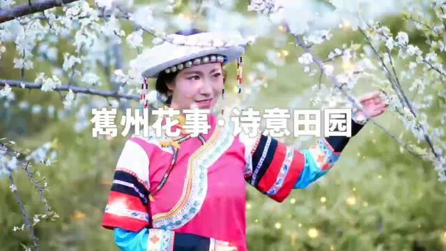 “嶲州花事ⷨ„田园”!越西县“花仙子”选拔活动报名开始啦!