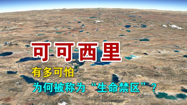 可可西里无人区,有多可怕?为何被称为“生命的禁区”?