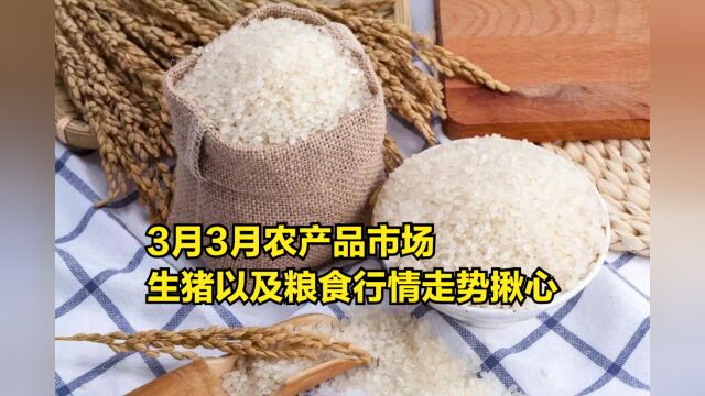 3月3月,农产品市场,生猪以及粮食行情走势揪心