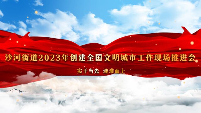 沙河街道召开2023年创建全国文明城市工作现场推进会