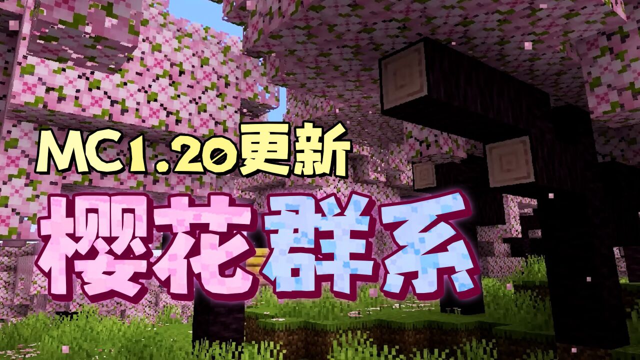 Iris Mc1.20 1.2.5