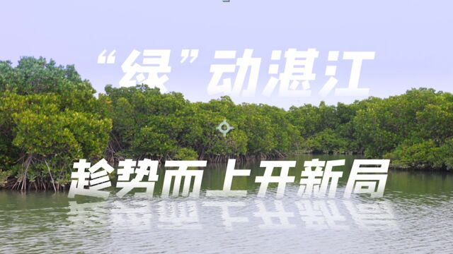 百秒产1卷钢,日均产值8000万元,湛江钢铁是怎样炼成的