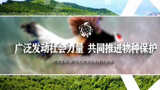 广泛发动社会力量 共同推进物种保护——山西省太岳山国有林管理局