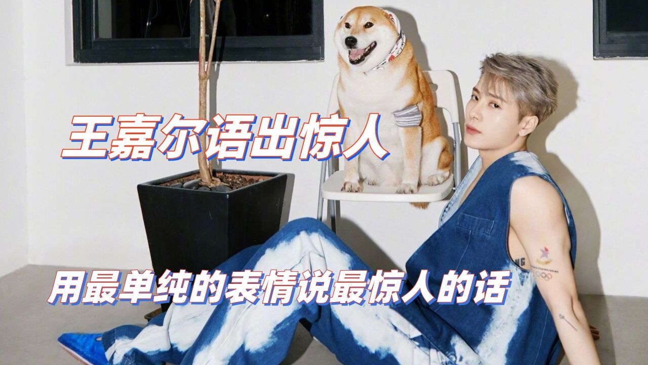王嘉尔语出惊人,用最单纯的表情说最惊人的话,连何炅都圆不了场_高清1080P在线观看平台_腾讯视频