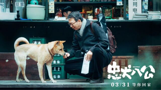 《忠犬八公》预告片 冯小刚、陈冲主演的电影