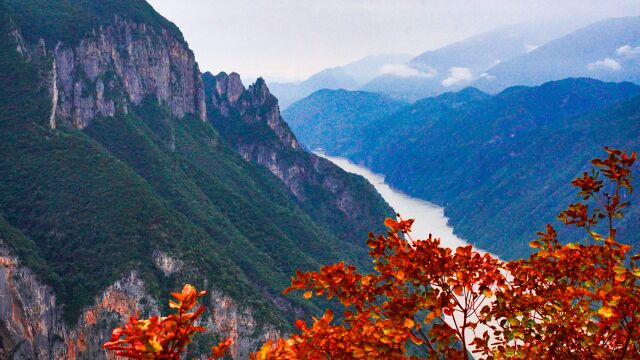 此生必去重庆巫山,保姆级旅行攻略带你游三峡走天路,赶快走起!