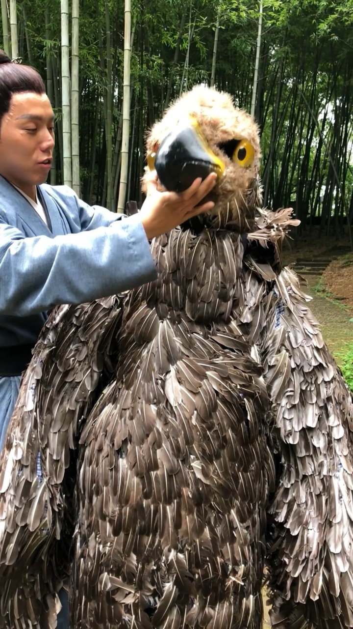 演杨过身边的那只雕一天2000元没想到那么高