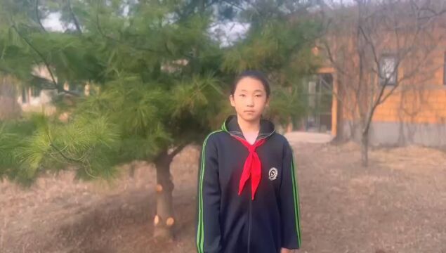 种一棵小树,绿一方净土——植树节倡议书(滦南县第三实验小学 )