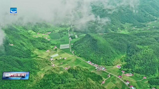 兴山新闻 2023年3月6日