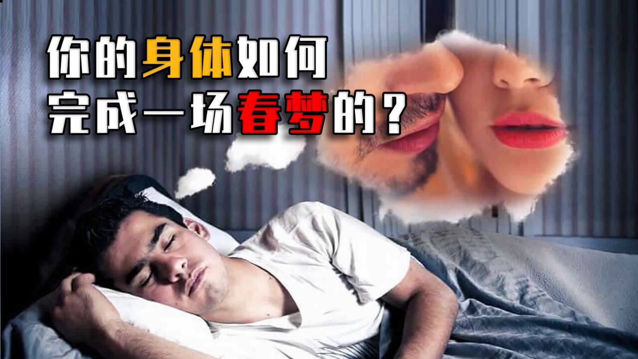 从科学角度解释:人为什么会做春梦?你的身体如何完成一场春梦?