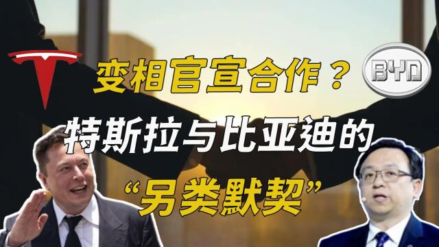 变相官宣合作?特斯拉与比亚迪的“另类默契”