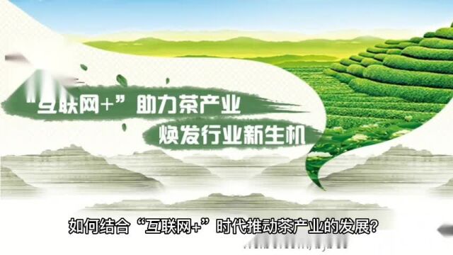 如何推动“互联网+”时代的大数据与实体经济结合茶产业发展?