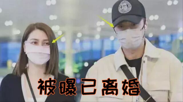 洪欣张丹峰被曝已离婚,财产全部被男方掌控,到底是真是假?